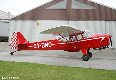 Auster